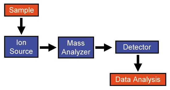 Hmotnostní spektrometrie MS spektrum Intenzita m/z Iontové zdroje: MALDI (matrix-assisted laser desorptionionization) ESI (electrospray