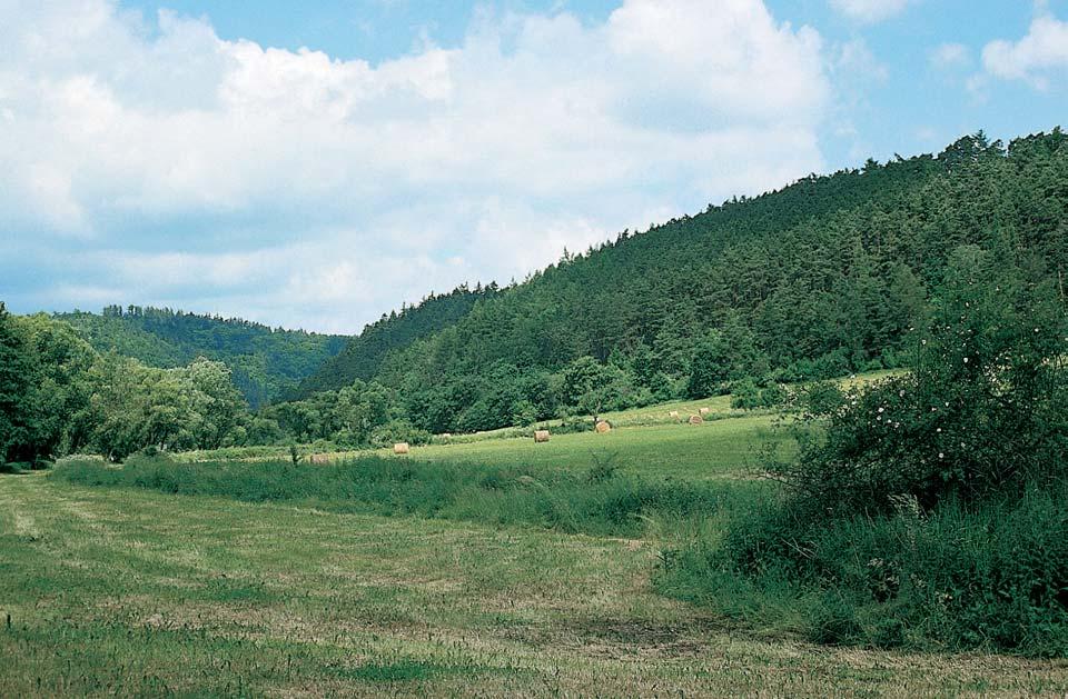 PlzeÀsko a Karlovarsko OKRES ROKYCANY Údolí Berounky u PR Tfiímanské skály. Na pfiedcházející stranû: Havlova skála nad Berounkou u Liblína.