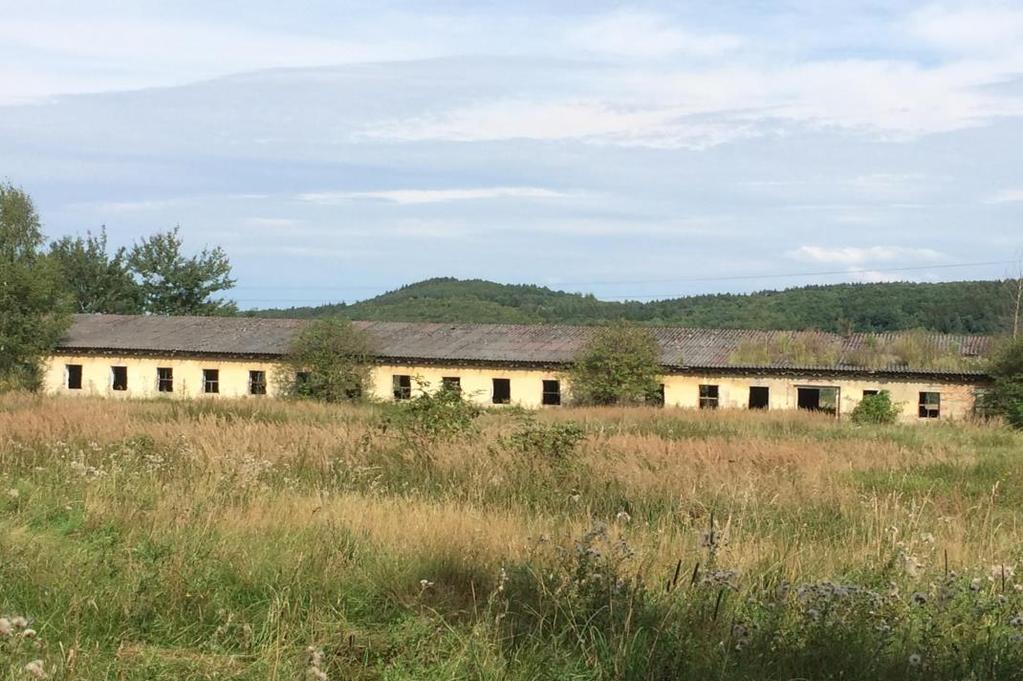 jsou asfaltové okraje lemovány společenstvy s převahou Tanacetum vulgare a Artemisia vulgaris.