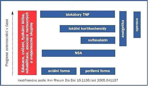 7. Do míst muskuloskeletálního zánětu mohou být lokálně injekčně aplikovány kortikosteroidy. 8. Při léčbě axiálního postižení nebyla prokázána účinnost DMARDs, včetně methotrexátu a sulfasalazinu.