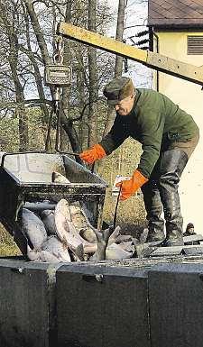 Jeho kalné vody občas rozčeří stříbrná ploutev. Vzduchem voní čaj srumem. Muži pokuřují aknebi vypouští obláčky dýmu. Břeh zdobí mohutné svítilny toaby rybáři mohli pracovat už před východem slunce.