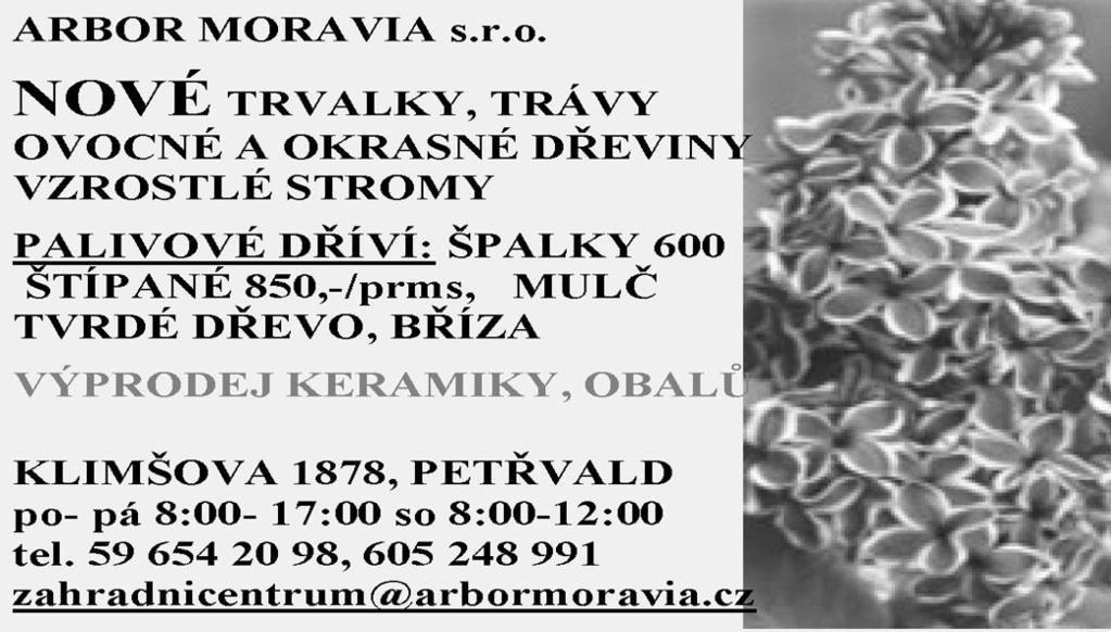 A protože nás na místě čekaly hromady sněhu a nádherná zimní krajina, připravilo 6 instruktorů a 3 vedoucí pro 29 dětí celopobytovou hru Ledové království.