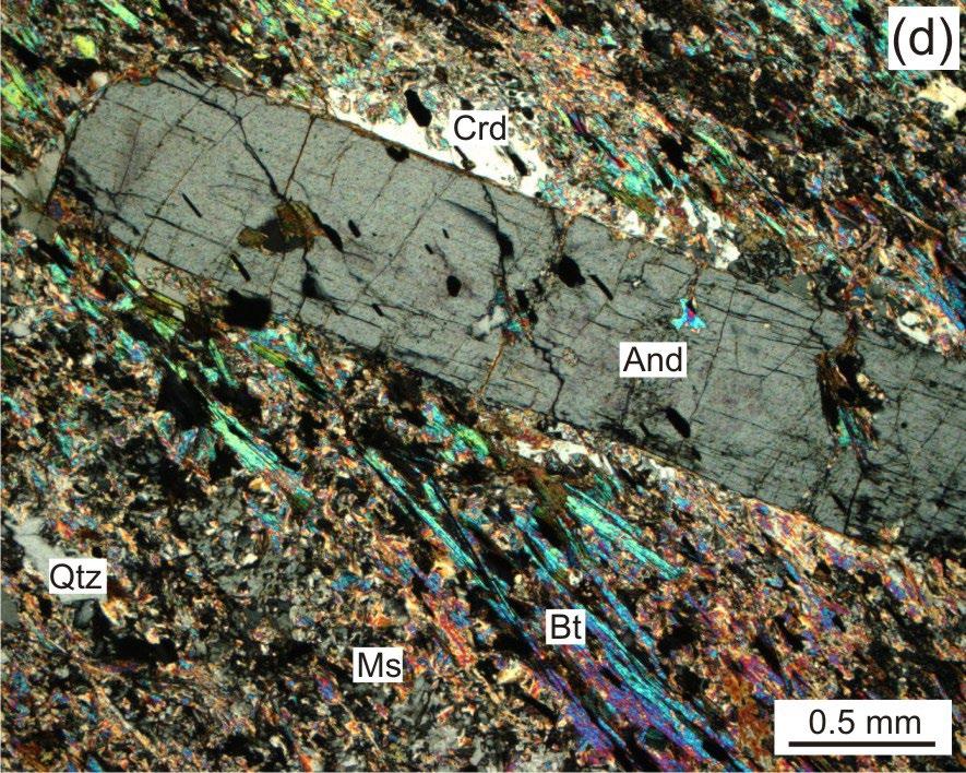 Hornina má obvykle granonematoblastickou stavbu vzácně jsou patrné relikty magmatické stavby reprezentované drobnými