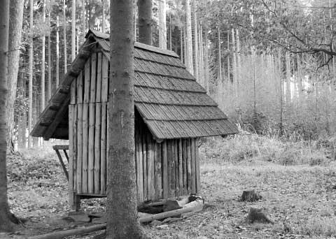 Do nosu mám pomalu pfiichází vûnû podhoubí a s ním i nadûje, Ïe brzy zahlédneme nûjakou houbu, kterou si py nû uloïíme do ko íku. Ko ík se plní a my podléháme na im chuèov m buàkám.