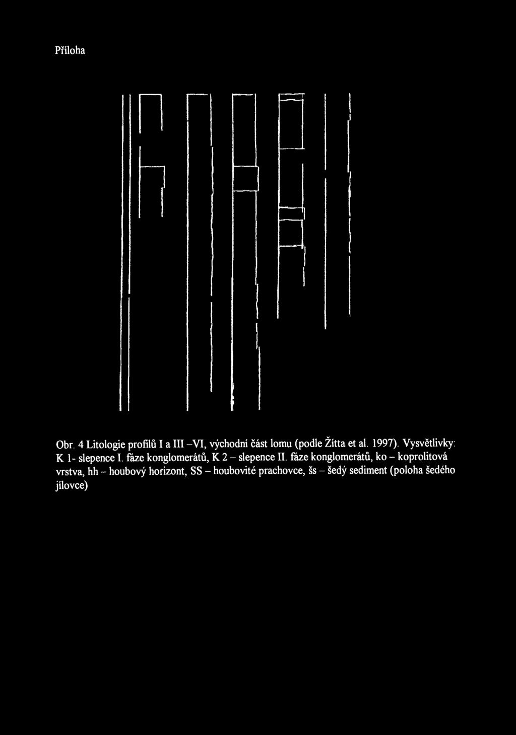 Přílohaněkterýchdůležitýchadresučitelegeologickýchvěd. Obr. 4 Litologie profilů I a III -VI, východní část lomu (podle Žítta et al. 1997). Vysvětlivky: K 1- slepence I.