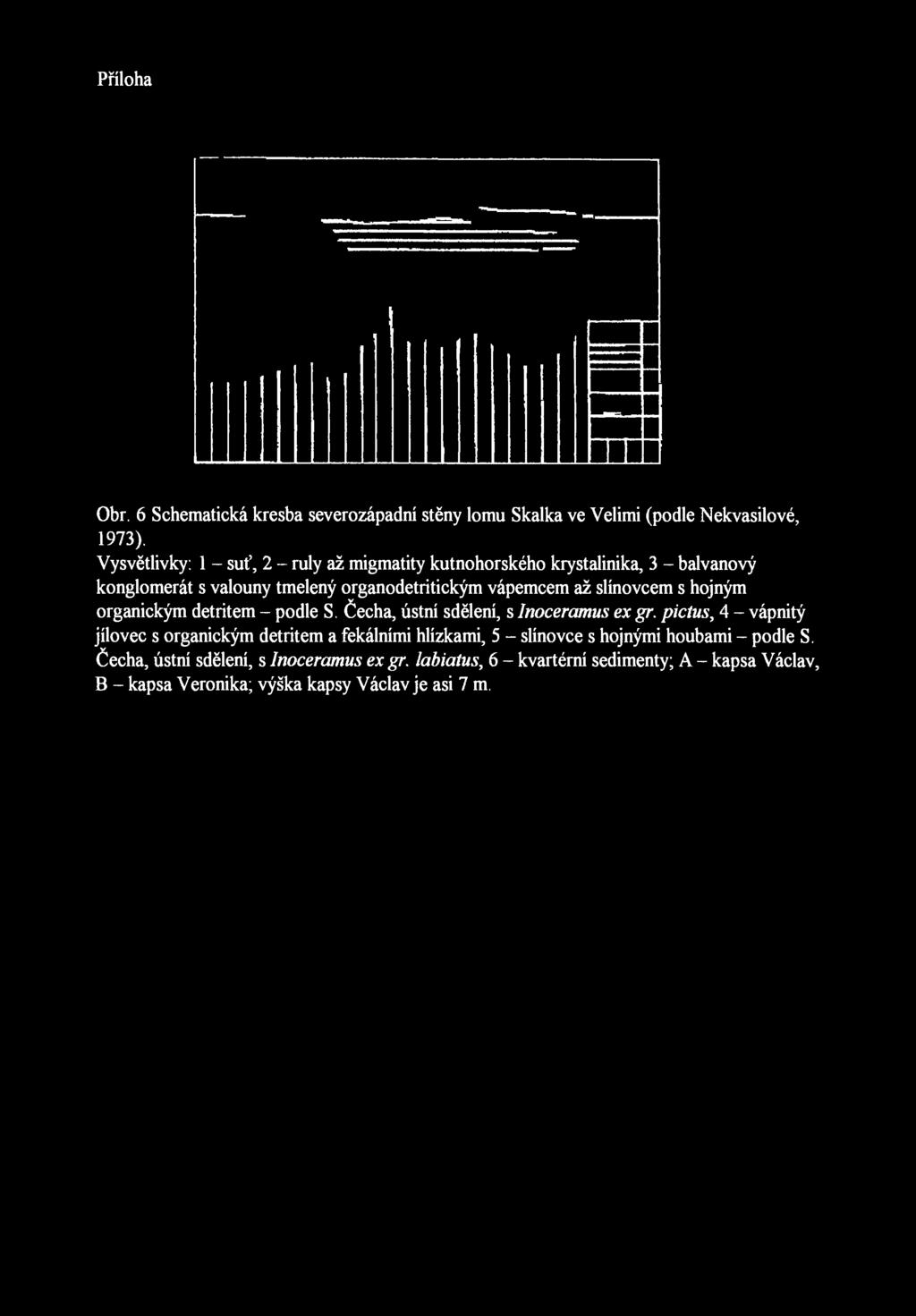 Přílohaněkterýchdůležitýchadresučitelegeologickýchvěd. Obr. 6 Schematická kresba severozápadní stěny lomu Skalka ve Velimi (podle Nekvasilové, 1973).