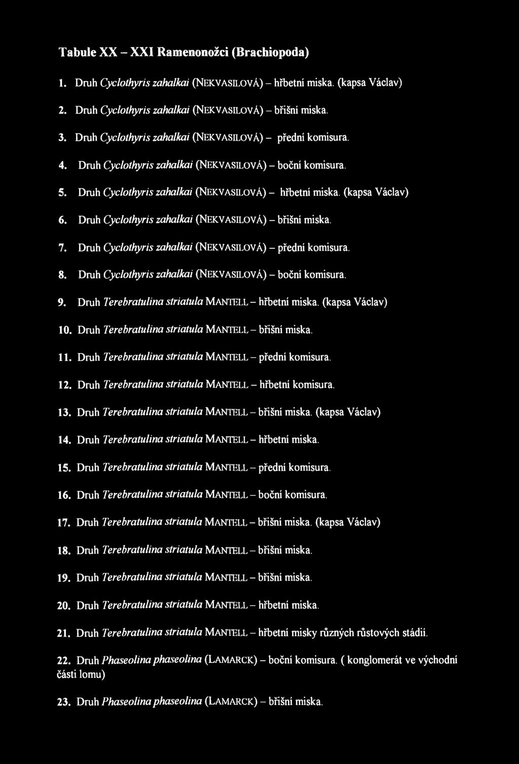 Tabule XX - XXI Ramenonožci (Brachiopoda) 1. Druh Cyclothyris zahalkai (NEKVASILOVÁ) - hřbetní miska, (kapsa Václav) 2. Druh Cyclothyris zahalkai (NEKVASILOVÁ) - břišní miska. 3.