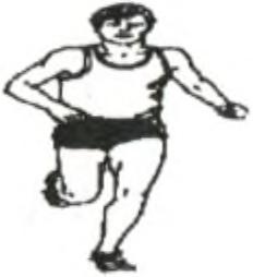 12 Wipler 3 9 12 Bařtipán 5,5 2,75 3 11,25 DoboŠ 9,5 9,5 Kaliba 8 8 Matécha 5,25 5,25 Bubeníček 2 2 Babilonský 0 tk 2.k 3.