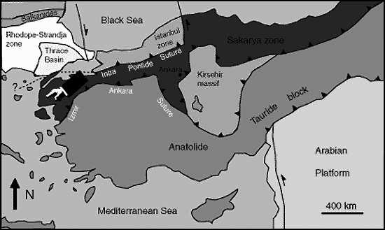 Srovnání s variskými jednotkami ve středn ední Evropě Zóna Istanbulu SPODNÍ KARBON Zóna Sakarya