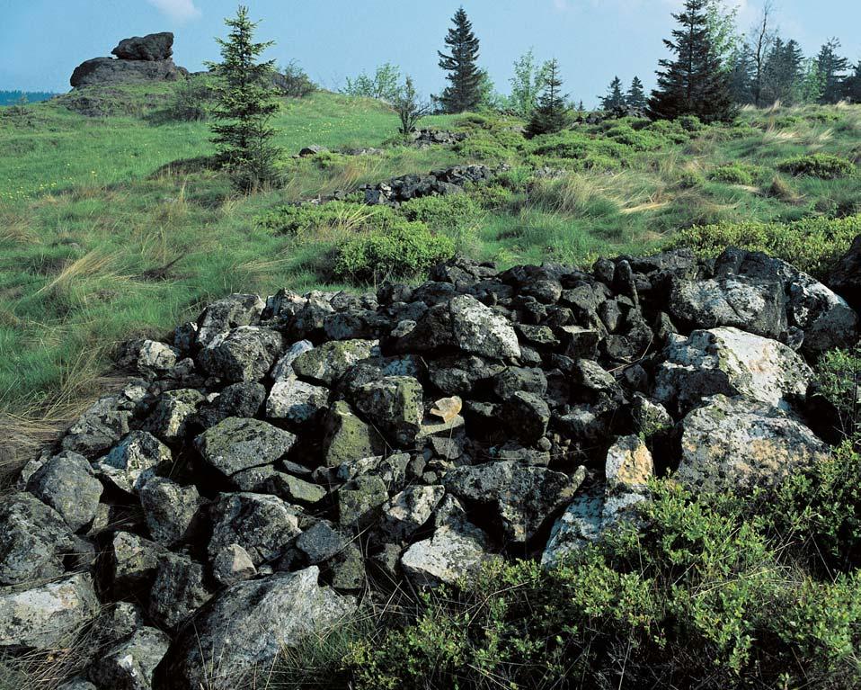 Jihlavsko Charakteristické kamenice tzv. kamenné snosy u Samotína. mûdûlsk ch pûd s regulacemi vodních tokû a nadmûrná chemizace.