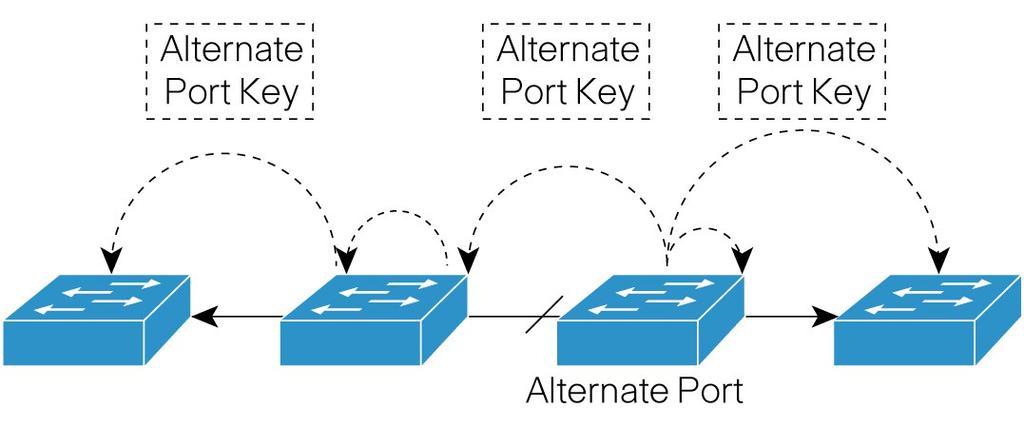 Každý port REP může zahájit činnost, jakmile získá bezpečnostní klíč pro odblokování alternativního portu. Bezpečnostní klíč se skládá ze slova délky 9 bytů, které identifikuje každý port.