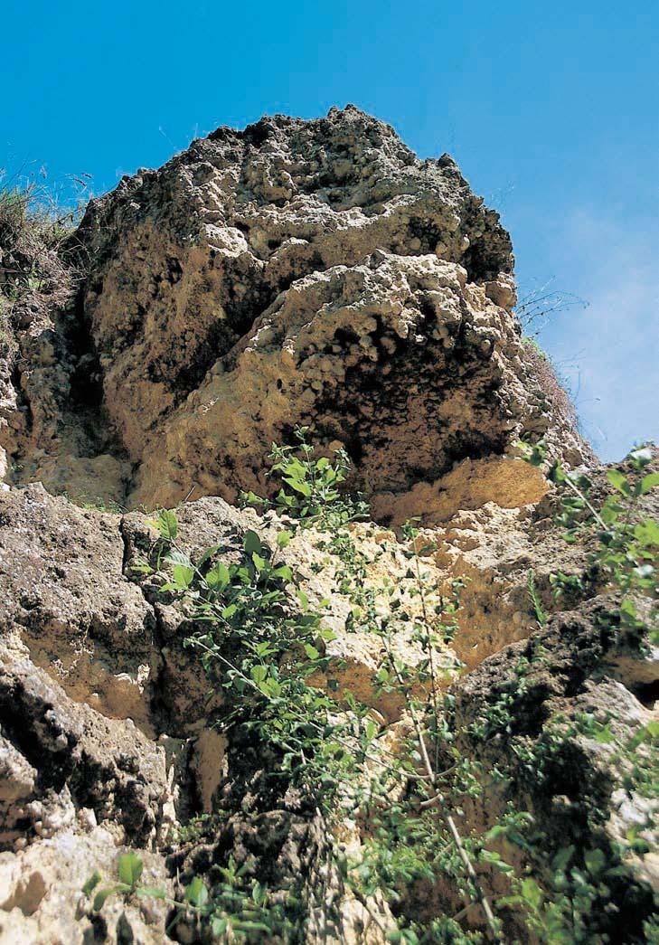 57-580_VY_uzemi.4.008 4:54 Stránka 546 Brnûnsko GEOLOGIE Území o délce 00 m a prûmûrné ífice 0 m bylo vymezeno v okolí geologického v chozu vápencû vzniklého lomovou tûïbou.