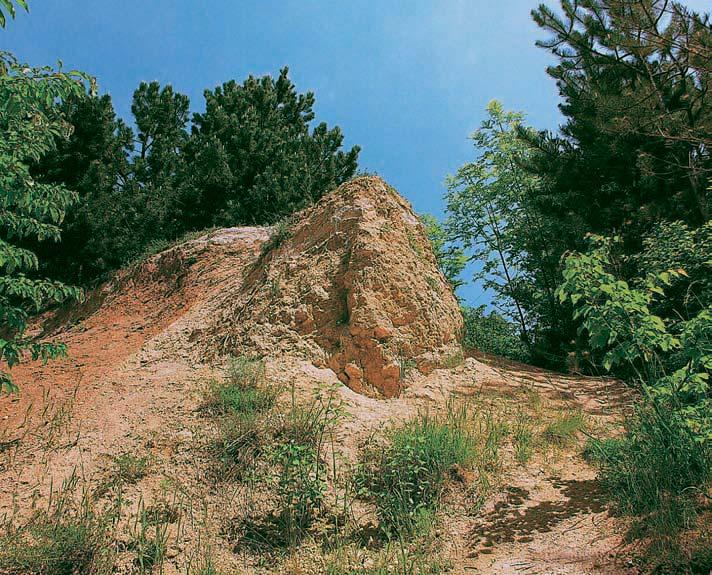 57-580_VY_uzemi.4.008 4:54 Stránka 548 Brnûnsko GEOLOGIE Mrazov klín unûmãan se nachází v b valé pískovnû a odkryt byl tûïbou. Je jedním z nejvût ích dosud znám ch mrazov ch klínû ve stfiední Evropû.