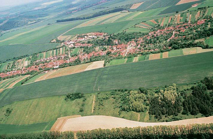 57-580_VY_uzemi.4.008 4:54 Stránka 549 Okres Vy kov rezervace Mu enice Prav pfiíkr erozní svah údolí KfiiÏanovického potoka votnické vrchovinû, 400 m západnû od Ra ovic.