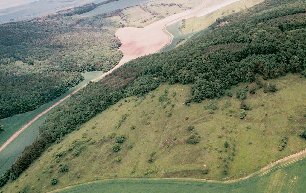 57-580_VY_uzemi.4.008 4:54 Stránka 544 Brnûnsko GEOLOGIE Skalní podloïí pfiedstavuje Ïdánicko-hustopeãské souvrství vnûj ího fly e, tvofiené tfietihorními vápnit mi jíly, slíny a pískovci.