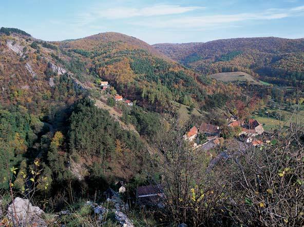 cû, mechovek, korálû a dal ích bylo poprvé popsáno právû podle nálezû z âeského krasu.