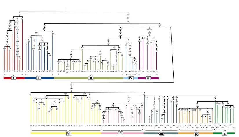 Underhill et al.