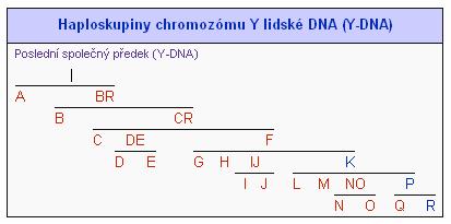 dnes se podrobně zkoumají jednotlivé haploskupiny v rámci celého světa nebo jen