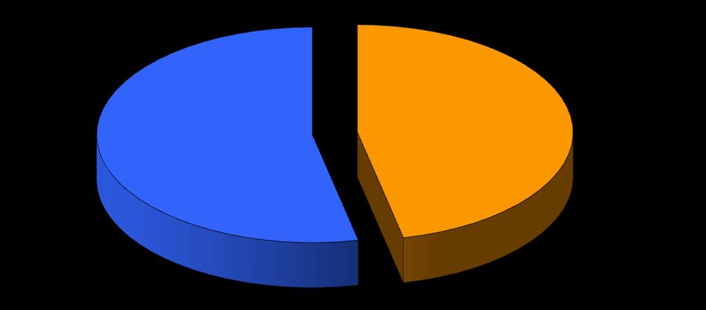 kč % podílu 1 3 938 278,66 47,7 2 4 323 089,47 52,3 8 261 368,13 100,0 3 916 493 4 000 000 3 415 558 3 500 000 3 000 000 2 500 000 2