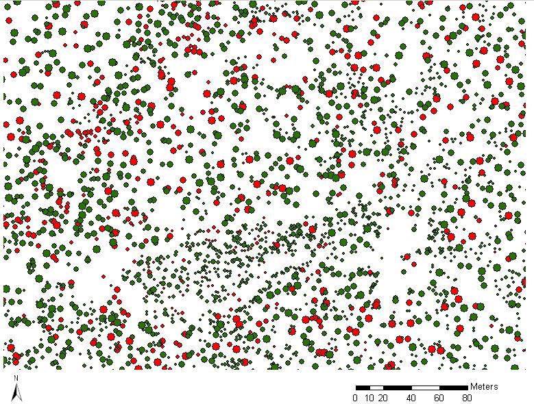 Metoda moving filter Live trees: d 1,3 [cm] Dead trees: d 1,3 [cm] Mooving Circle: (21m) 150 250 600 300 150 350 500 120 120 300 200 250 250 400