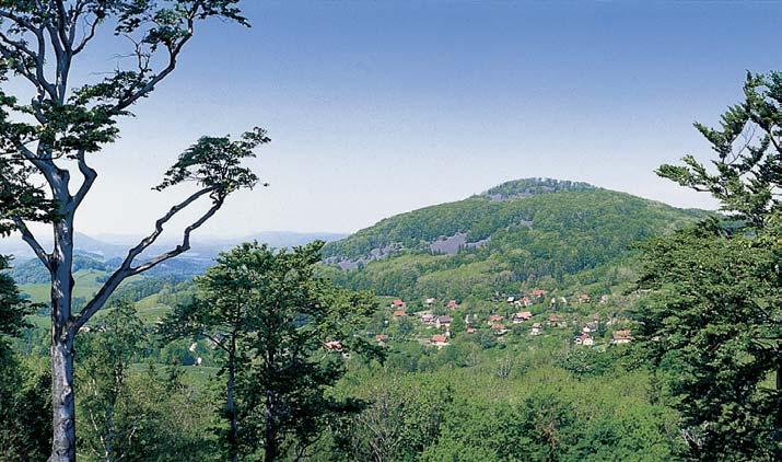 CHKO LuÏické hory Pfiírodní rezervace Studen vrch Vrcholové partie Studence asi 5 km severov chodnû od âeské Kamenice a 4 km jihozápadnû od obce Chfiibská.