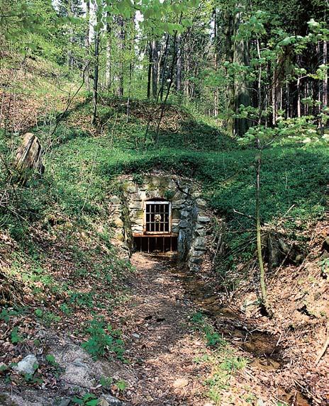 Liberecko GEOLOGIE Geologická stavba jiïního úboãí Vápenného (548 m n. m.) byla v minulosti odkryta pfii lomové tûïbû vápencû.