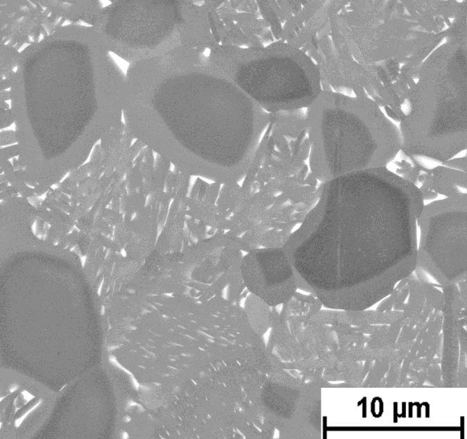 Slitina Ti-6Al-7Nb pozorování pomocí SEM