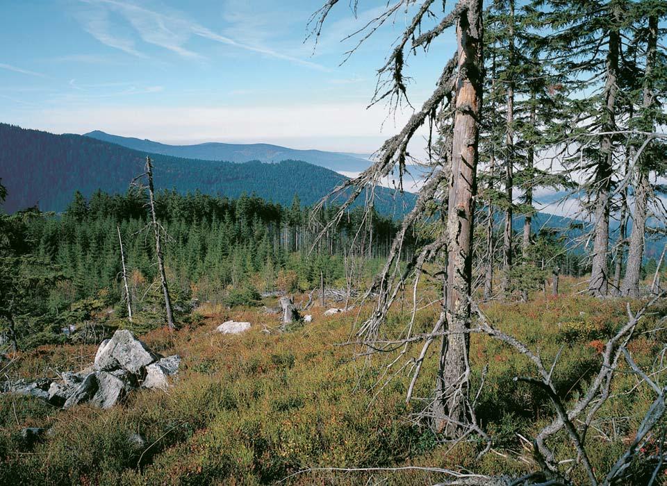 âeskobudûjovicko NÁRODNÍ PARK A CHRÁNùNÁ KRAJINNÁ OBLAST UMAVA, BIOSFÉRICKÁ REZERVACE UMAVA Údolí Úhlavy v Îeleznorudské hornatinû je nejhlub ím údolím umavy.