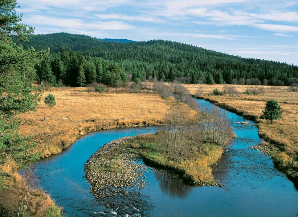 NP a CHKO umava vrûzn ch fyzickogeografick ch podmínkách. Na v voj georeliéfu pûsobily jak pohyby zemské kûry, tak zmûny podnebí a geomorfologické vlastnosti hornin.