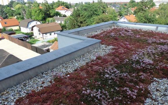 Druh plochy Plocha m 2 Odtokový součinitel Redukovaná plocha m 2 (plocha krát odtokový součinitel) A B C Součet redukovaných ploch: Dlouhodobý srážkový normál*...mm rok -1, tj.