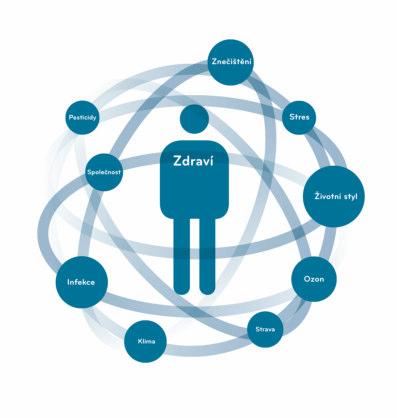 A co dál? Po absolvování studijního programu Životní prostředí a zdraví máte dvě hlavní možnosti.