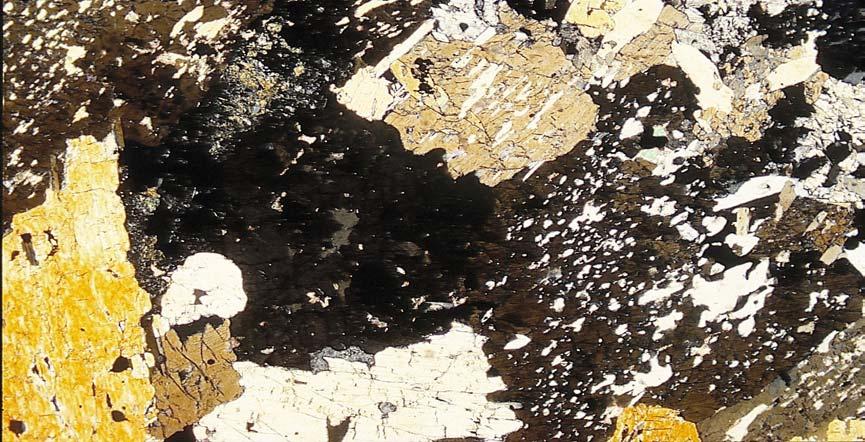 grosular, zoisit, wolastonit (hedenbergit, andradit, magnetit) amfibol, sulfidy ve starších pracech se setkáváme s