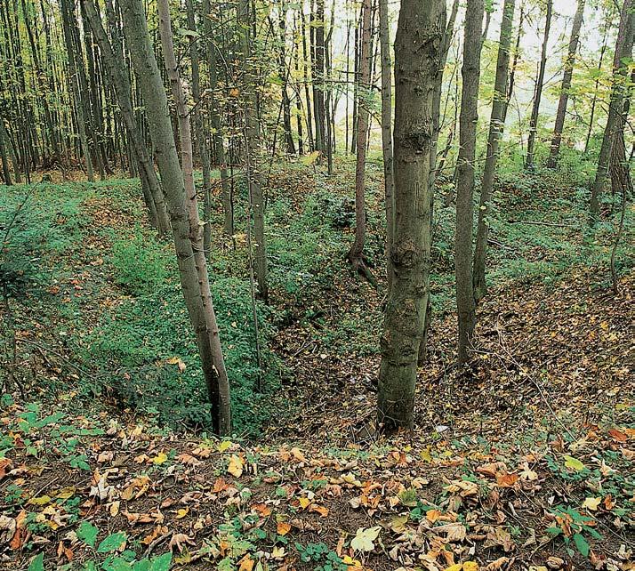 PlzeÀsko a Karlovarsko GEOLOGIE Podkladem jsou krystalické vápence uloïené vrulách. Systém dob vek odkryl jedineãn profil v pestré sérii moldanubika. V území je fiada krasov ch dutin.