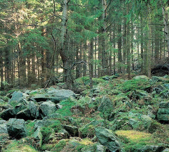 PlzeÀsko a Karlovarsko GEOLOGIE Vrch Krahulãice je budován migmatitizovan mi biotitick mi pararulami, které na severní a severov chodní stranû obsahují vloïky krystalického vápence, zatímco smûrem k