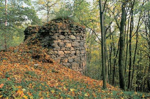 hradu. GEOLOGIE Podkladem jsou krystalické horniny moldanubika. Byly zde zji tûny ruly, aplity, lamprofyry a granodiority, místy krystalické vápence.