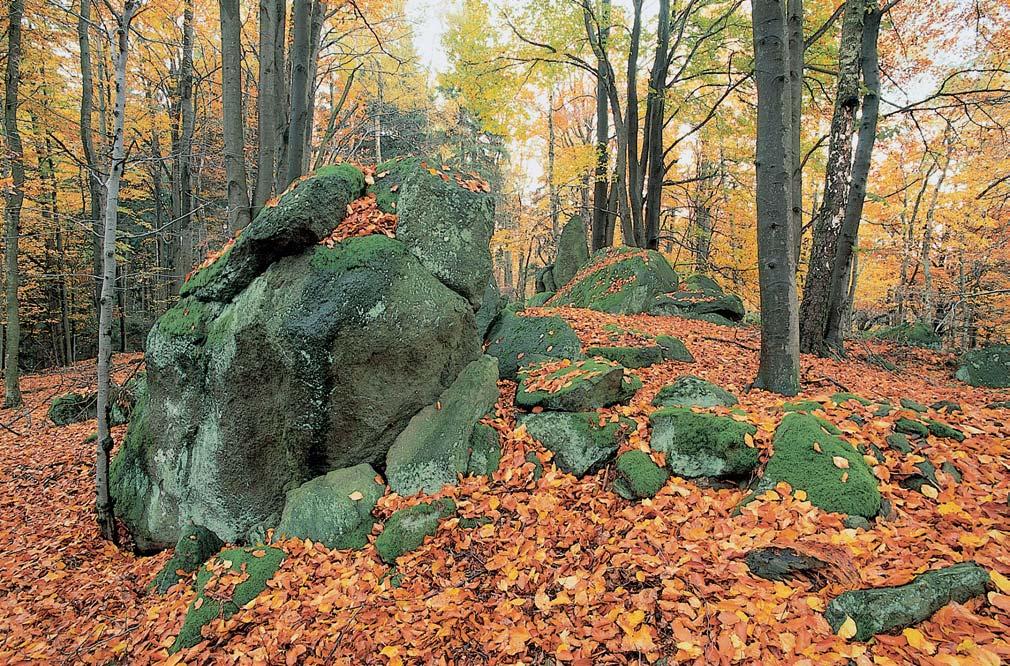 GEOLOGIE V chozy bazick ch hornin pokr vá ranker typick (litick ) stfiídavû s kambizemí rankerovou, pfiecházející postupnû do stfiednû hlubok ch typick ch (kysel ch) kambizemí.