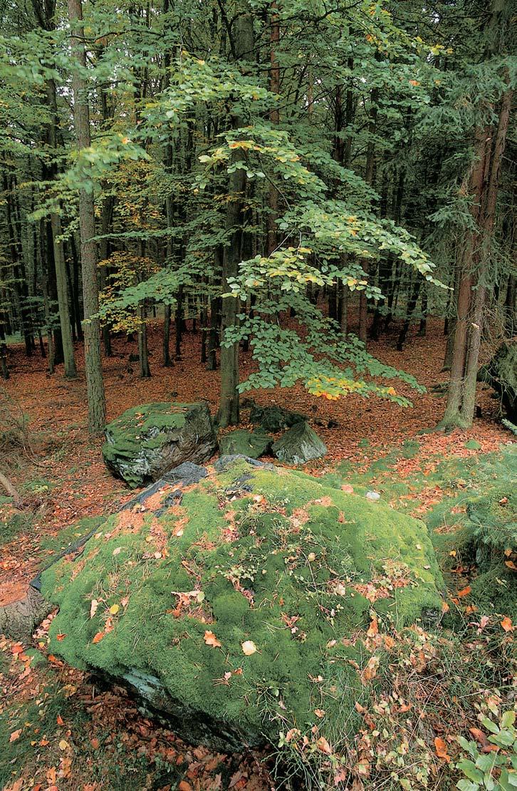 PlzeÀsko a Karlovarsko GEOLOGIE PodloÏím jsou horniny svrchního proterozoika. Tûlesa buliïníkû o mocnosti asi 0 m vystupují v délce 30 m ve smûru SV JZ.