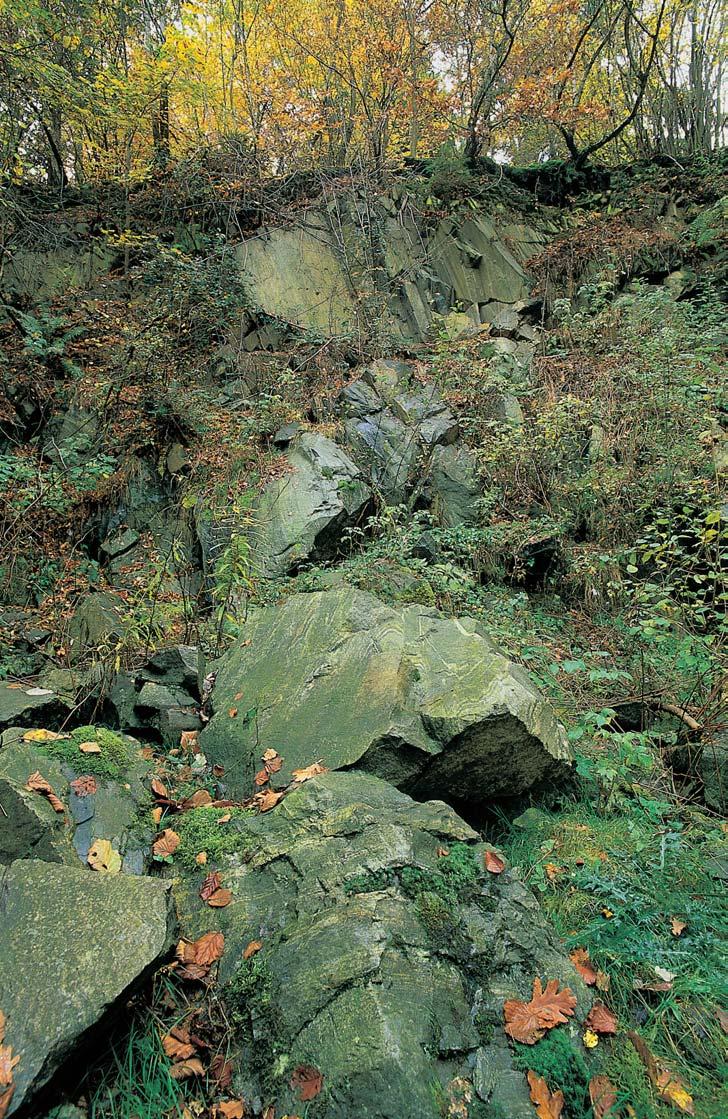 Okres Klatovy GEOLOGIE Zdej í amfibolit obsahuje vloïky leptynitu, je zfietelnû páskovan, místy slabû kontaktnû metamorfovan, edé aï edoãerné barvy.