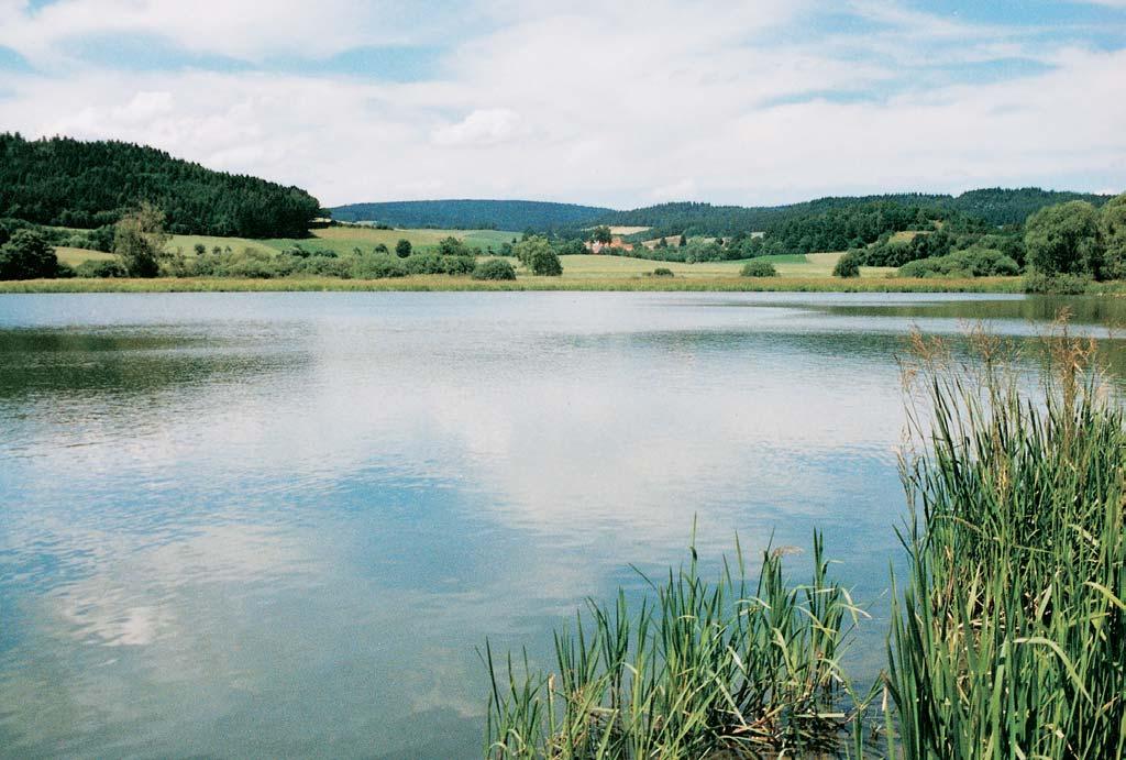 PlzeÀsko a Karlovarsko rezervace Zbynické rybníky âást soustavy rybníkû s pfiilehl mi vlhk mi loukami asi km jihov chodnû od obce Zbynice a km severnû od obce TedraÏice na Su icku.