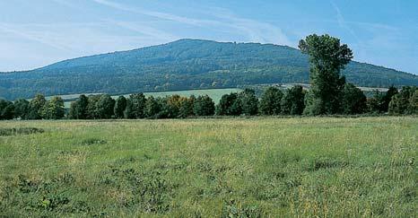 buãiny. GEOLOGIE Podkladem jsou horniny svrchního proterozoika. Skalní v chozy buliïníkû (s kryogenními zvûtralinami pfii jejich úpatí) leïí na krátkém strukturním JZ SV hfibetu o relativní v ce 00 m.