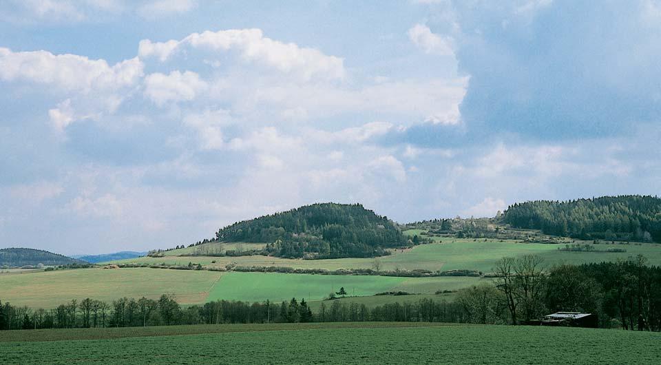 Okres Klatovy park Plánick hfieben Vyhlá en Okresním národním v borem v Klatovech vroce 979 jako tzv. oblast klidu.