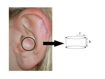 Ten model se zaměřuje na odraz zvuku v dutině conchy, a nahrazuje celý ušní boltec jedním válcem (Obr. 2.11). Proto jedinými parametry, které potřebujeme, jsou šířka conchy a její hloubka (tj.