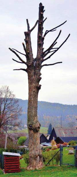 05 ČINNOST ČIŽP ZA ROK 2013 OCHRANA PŘÍRODY na úrovni obcí a měst i krajských úřadů, a také na úrovni odvolacích orgánů MŽP (OVSS), stejně tak s nejrůznějšími vědeckými pracovišti a s rezortem