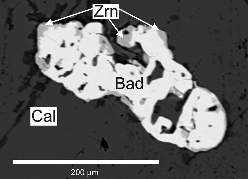 128 Bull Mineral Petrolog 25, 2, 2017. ISSN 2570-7337 (print); 2570-7345 (online) Obr. 21 Baddeleyit obrůstaný zirkonem v kalcitu (černý), Kolence. BSE foto, R. Škoda. Obr. 22 Klinohumit se spinelem a chloritem, Klatovy - Loreta.