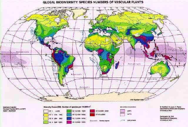 Geografické rozšíření jsou rozšířeny na celém povrchu