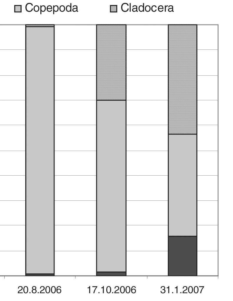 Nejhojněji z této skupiny byla zastoupena Alonella nana. Tvořila 34 % celého vzorku. Významnější podíl tvořili jedinci druhu Chydorus sphaericus. Podíl skupiny Copepoda činil 40 %.