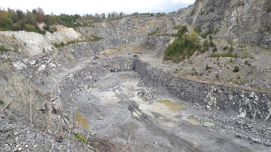 Obr. 3 Kamenolom na Tachovském vrchu, pohled na spodní etáž, foto P. Pauliš, 2017.