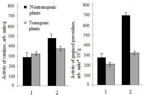 The alternative cyanide resistant pathway of respiration is known to prevent generation of superoxide radical in the electron transporting chain and accumulation of hydrogen peroxide in mitochondria.