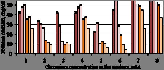 Biosorption and bioaccumulation of heavy metals chromium in medium caused by increasing concentrations of chlorophyll content and mixed cultures of most of the content of pigments in mutualistic