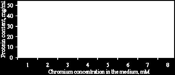 flos-aquae x A. arnoldii at 0,075 mm of chrome in medium. A further increase of chromium concentration leading to reduced chlorophyll content in cells.